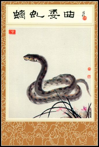 甘肃省邮电局出版社 12生肖明信片10.jpg