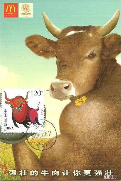 牛3.JPG