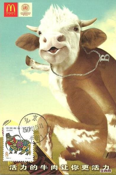 牛2.JPG