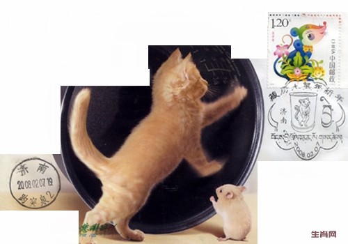 生肖鼠猫和谐片删改.jpg