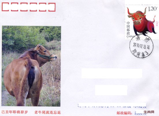 生肖己丑牛屁股年尾封.jpg