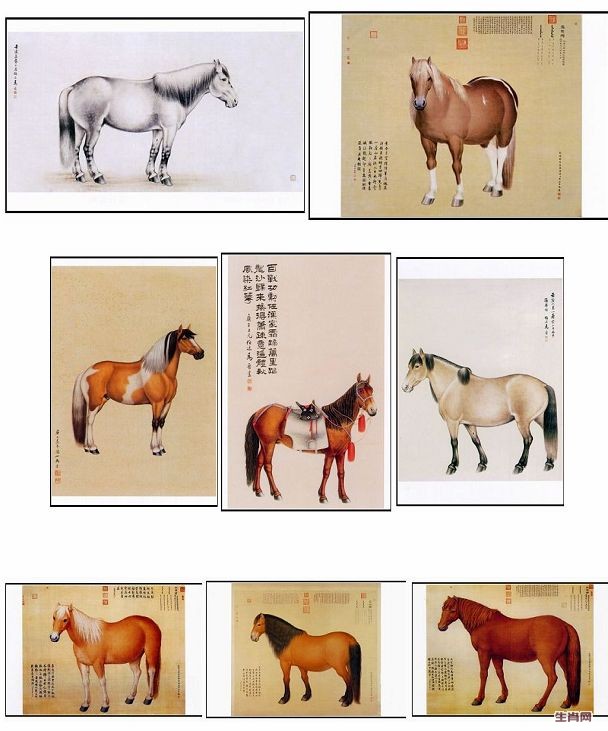 马明信片 8枚.jpg