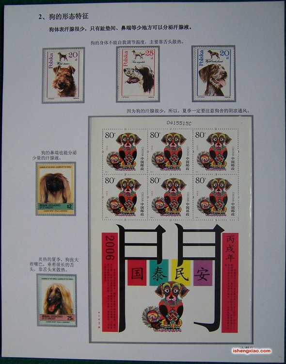 《狗》邮集 07.JPG